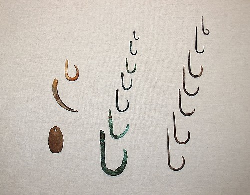 Exhibition: Fishing Methods and Implements of Ancient Chile, Work: Early Fish Hooks Made of Shell, Copper and CatusThorn in Varying Sizes