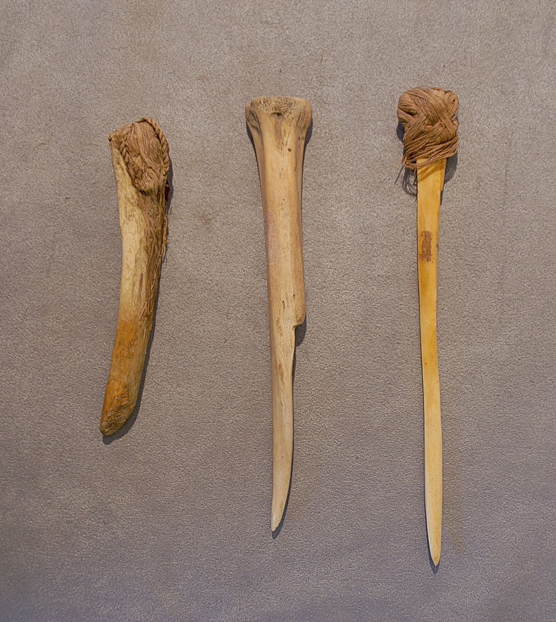 Chile, Three Bone Tools for Chipping and Opening Clam Shells
These tools were made from sea lion ribs.  The shorter one was used for chipping stone points.  The two longer ones were used for opening clams and mussels.  The hemp wrapped end was to protect the hand when opening shells.
Media: Bone
Dimensions: Lengths Vary: 5.75" - 8"
n6032