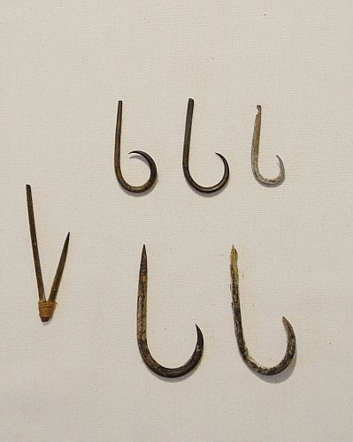 Exhibition: Fishing Methods and Implements of Ancient Chile, Work: Six Cactus Thorn Fish Hooks