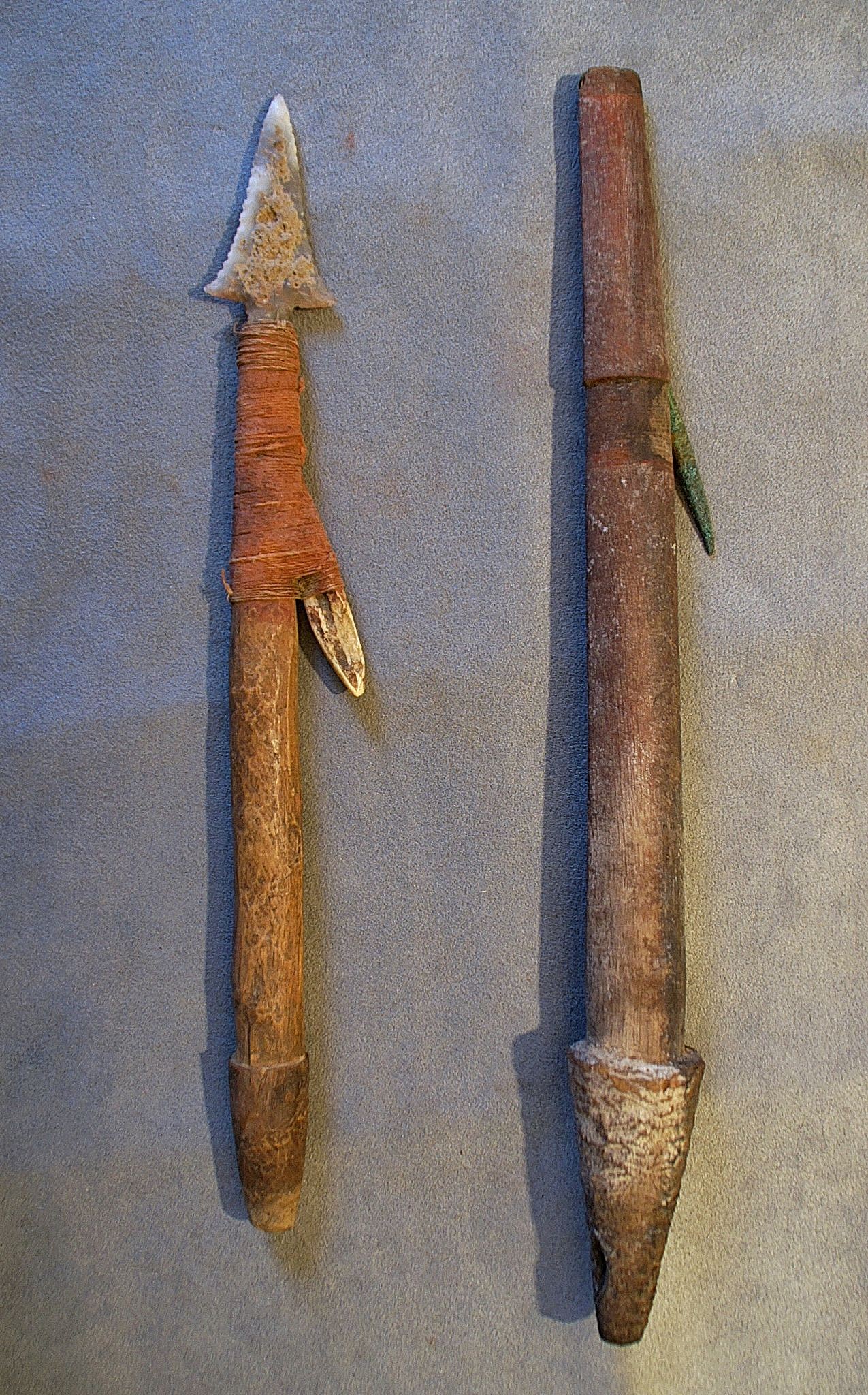 Chile, Two Harpoon Forepoints with Bone and Copper Barb
These harpoons were used for hunting for sea lion.  The barbs are set into a carved notch and lashed with cotton thread.  The other end is tapered to fit into a harpoon pole.  The copper barb was used for hunting larger animals.
Media: Wood
Dimensions: Lengths: 12" &  16"
n6035