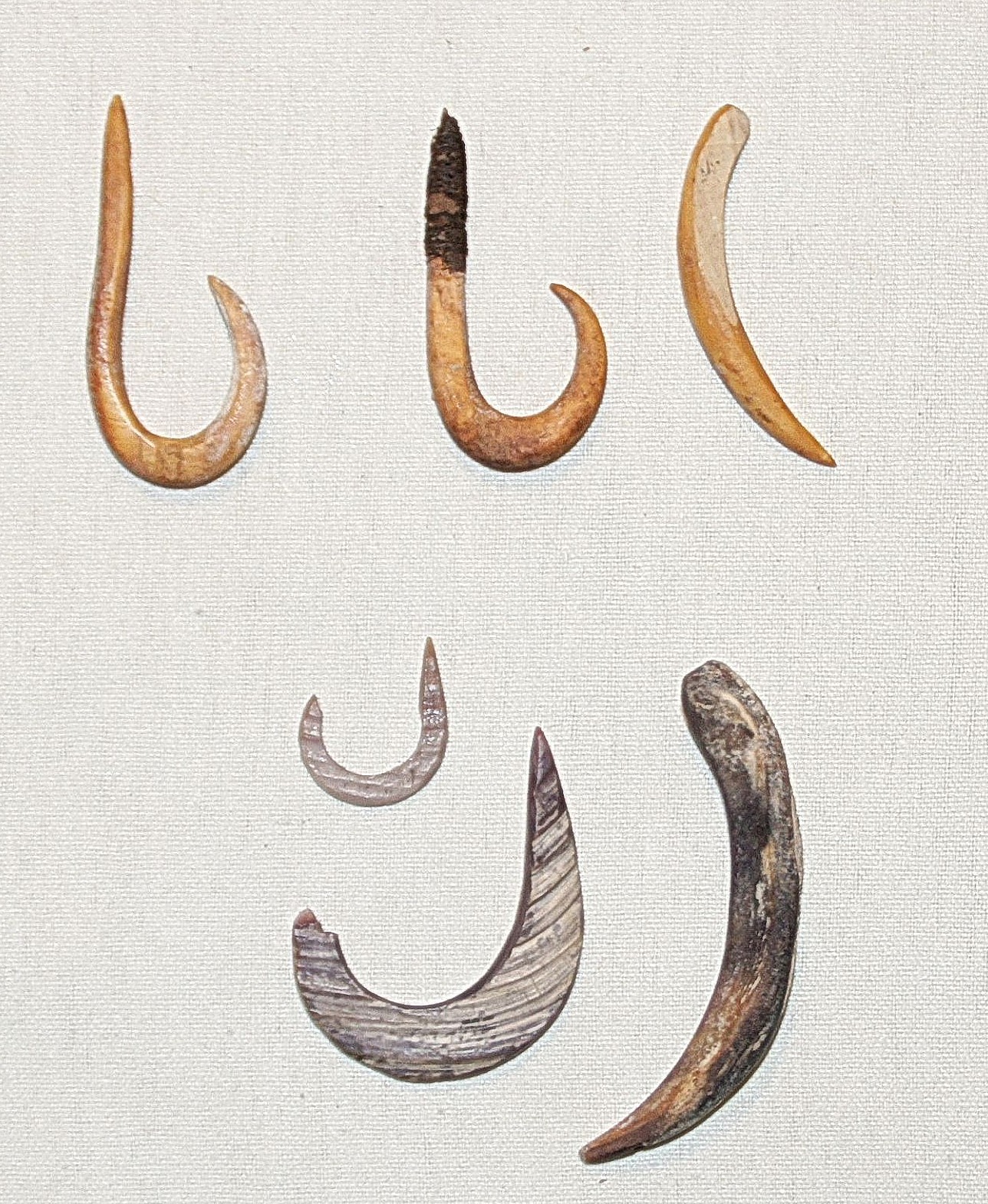 Chile, 7 Early Bone and Shell Hooks
This collection includes four bone hooks, one of which was attached to a stone sinker as a barb, and three early spondylus shell fish hooks.  The shell fishhooks were made from clam or Spondylus shells by drilling a hole and then carving a hook shape from the outer edge of the hole.


To view an illustrated discussion of the fishing methods and implements of ancient Chile, along with a catalog of the collection in PDF form, PLEASE CLICK HERE.



Media: Shell
Dimensions: Lengths vary:  .75” – 3”
N6017
