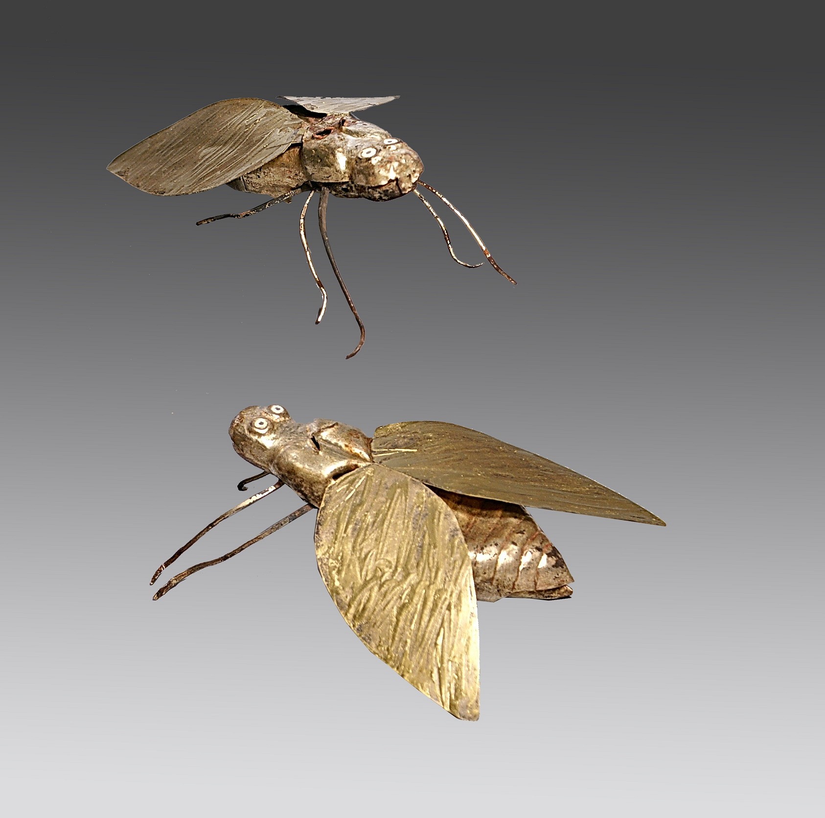 Peru, Loma Negra Gilt Copper Pair of Hoverflies
The flies are examples of a highly skilled gilding technique over copper.  The construction is of tab and hammered and shaped parts to create a three-dimensional body. This was preferred in Peru over lost wax casting.  Loma Negra Royal tombs were found in Northern Peru in the 1960's. The largest holdings of this material are in the Metropolitan Museum of Art. Other examples of critters are illustrated in PRE-COLUMBIAN ART of South America by Alan Lapiner, fig 376.   
There is a Loma Negra fly in the Met Museum ref 1981.459.28 in poor condition.  Hoverflies are among the largest flies and have colorful bodies and are harmless.  They often imitate bees or wasps as a survival technique to appear dangerous to their predators.  The Peruvian favored animals that metamorphose, (eggs, large, maggots to flies) as proof that humans can transcend into spirits.  Since hoverflies have colorful yellow and black bodies they connect with gold of the sun.  These flies are considered large for Loma Negra creatures and have no apparent function.

Media: Metal
Dimensions: Length 4 1/2"  x Width with wings 4"  Height :1 1/2"
$15,000
M9067