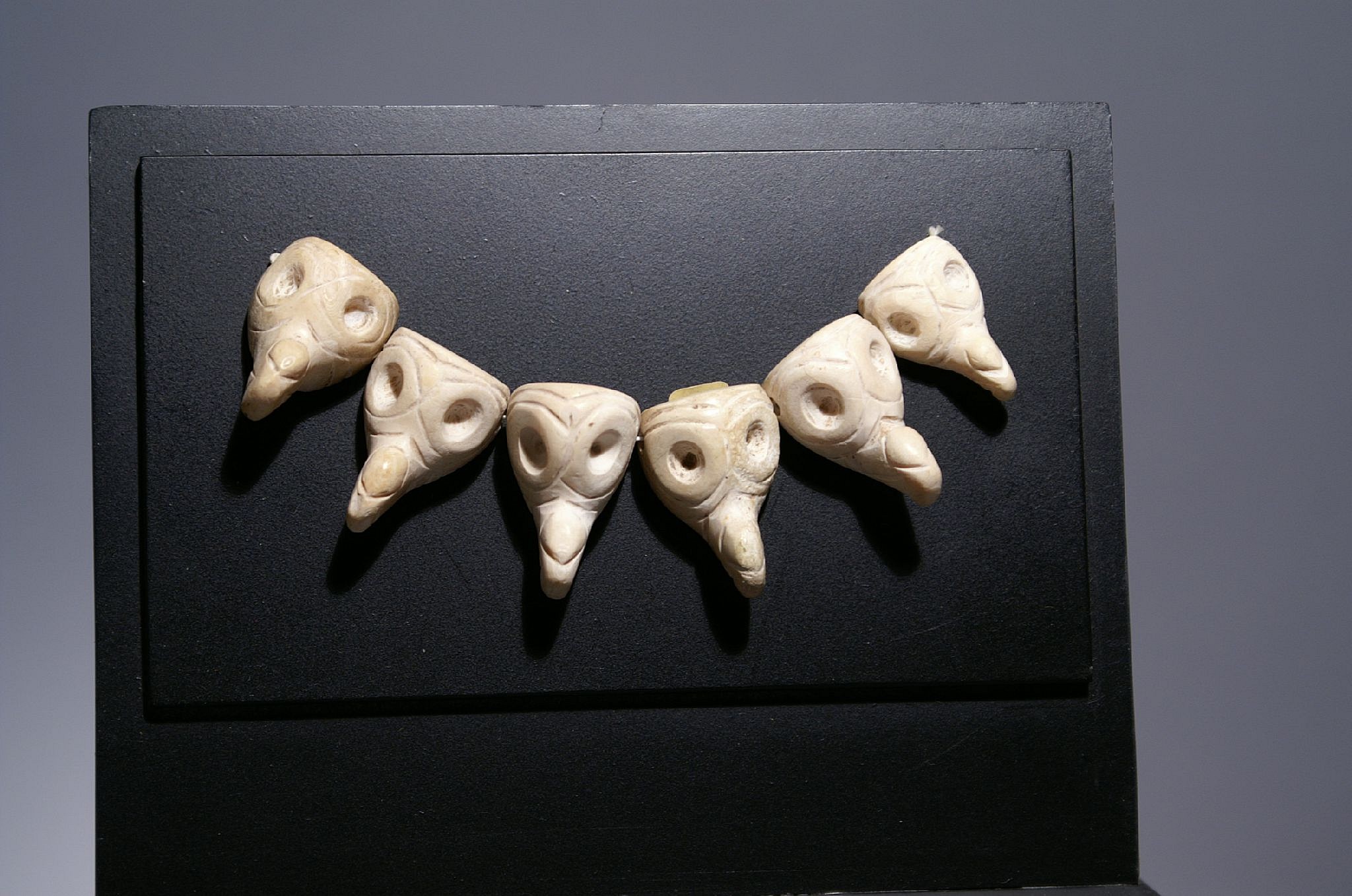 Mexico, Six Huastec Carved Shells in the Form of Condor Heads
These raptorial bird heads were clearly a part of the same original necklace.  The bird may represent the condor, an endangered species in Mexico, or another powerful raptor that had mythological significance. Each shell head was drilled in the back with two conical drill holes. Colorado collector prior to 1997.
Media: Shell
Dimensions: Length 4 1/2" Each head Length: 1"
$1,800
97162