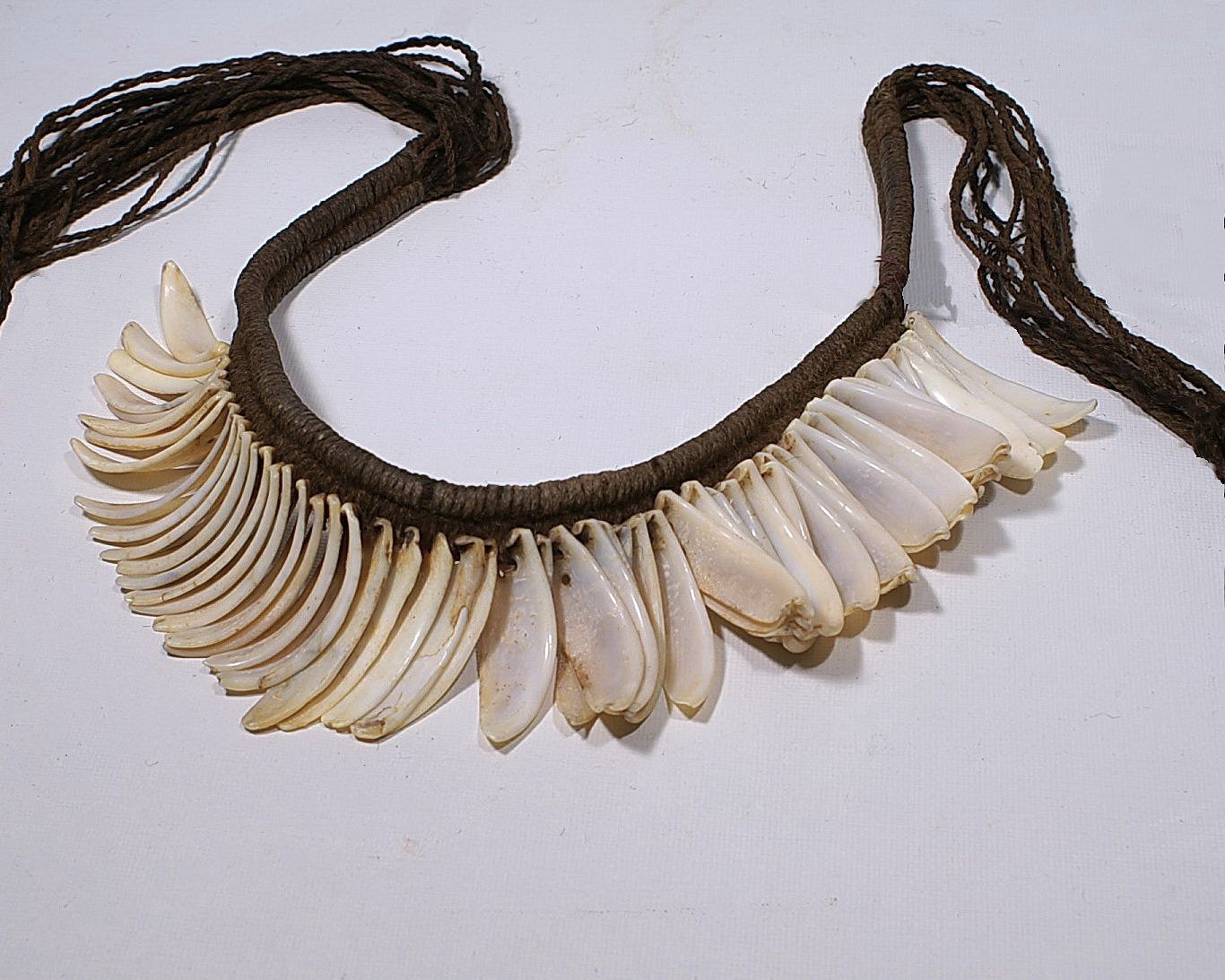 Peru, Nazca shell Necklace on Original Alpaca Cord
It is very rare to find a shell necklace with original stringing intact.   This necklace is an excellent example of the Nasca culture's ingenuity in using the local marine resources.   Each of the 55 shells is intricately tied to an elaborately knotted foundation cord. The shell appears to be a mussel or razor clam.  A similar necklace is in the American Museum of Natural History.
Media: Shell
$3,200
99177