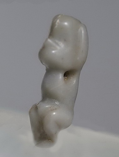 Small TaÃ­no  Amulet of a Crouching Monkey in Blue-Gray Stone