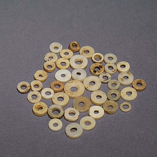 TaiÃ‚Â­no Group of 38 Shell Discs