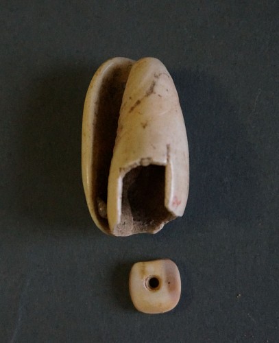 Work: Taíno  Carved Shell with Matching Bead