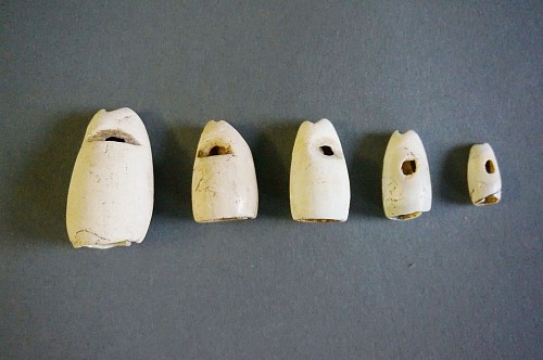 5 TaÃ­no  Graduated Carved Cone Snail Shells