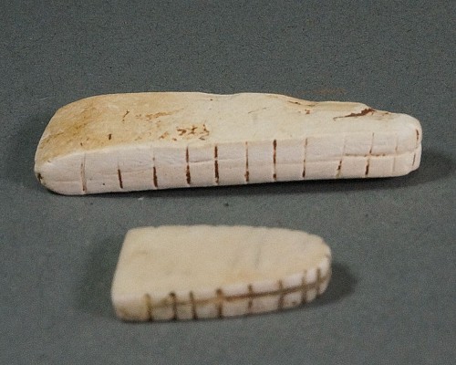 2 Sets of TaÃ­no  Carved Oblong Shaped Teeth