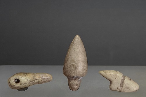 Work: 3 Taíno  Stylized Shell Carving Tools