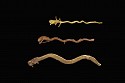Colombia, 3 Muisca Cast Gold Snakes
Metal