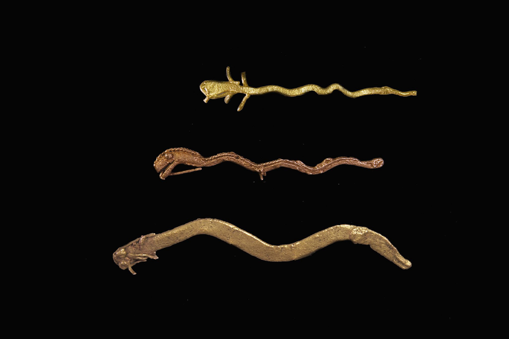 Colombia, 3 Muisca Cast Gold Snakes
The Muisca people of Eastern Columbia were known for their famous myth, El Dorado.  El Dorado refers to a lord riding on a golden raft and covered in gold dust. Serpents are featured prominently in the Muisca creation myth, which describes two snakes emerging from the Iguaque lagoon as a women and child.  Transmutation was an important theme to the Musica; these snakes are all cast using the lost wax technique as well as the manipulation of alloys to create the three different hues of gold.
Media: Metal
Dimensions: Length: 1. 7/8, 2. 3/16 & 3.  9/16 inches  Total Weight: 5.2 grams.
$2,400
n8006